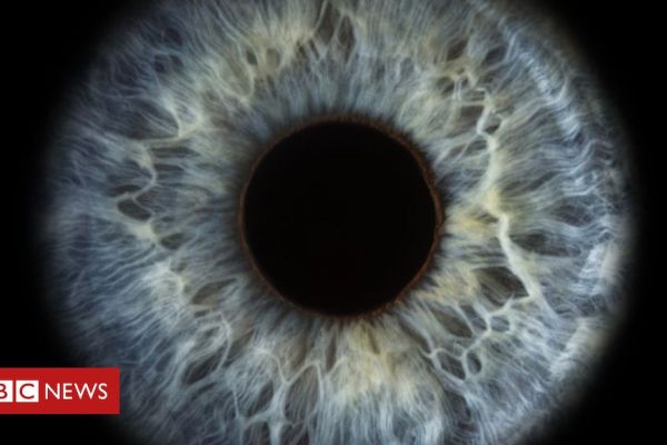 Os cientistas que 'ressuscitaram' células da retina de doad...